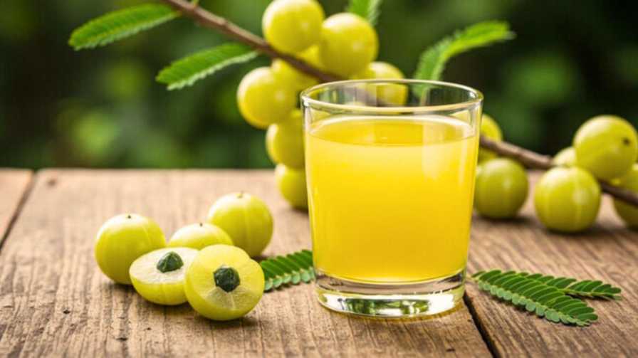 Oil Free Amla Drink Recipe